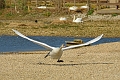 13 04 14_2950_edited-1